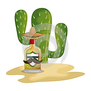 Background Cactus with bottle of tequila photo