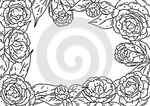 Background with camellia. Beautiful decorative plants.