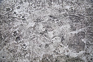 Background of cement screed with human dog tracks, abstract pattern.