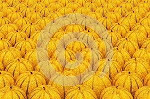 Background from Charentais melons with realistic texture, 3D rendering