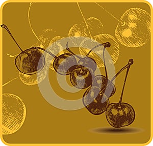 Background with cherries, hand-drawing. Vector ill