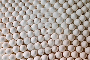 Background of chicken white eggs in a rows