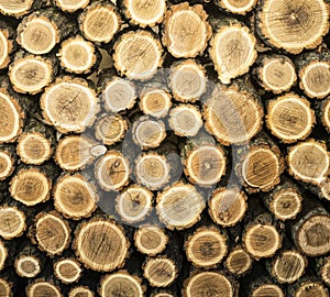 Background from chopped stacked firewood.  Natural texture.