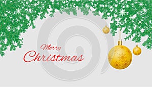 Background of Christmas pine branches on white background