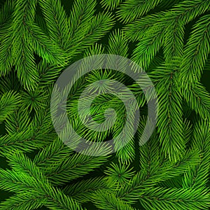 Background of christmas tree branches