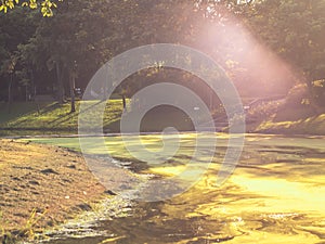 Background of city park in spring with trees, bushes and bench.island  and the lake