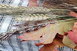 Background of classes of wheat on the table