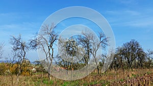 Background with clear blue sky and white clouds over the mountain