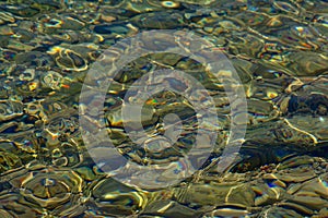 Background of clear water with sun ripples and stones