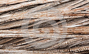 Background close up of cedar trunk bark
