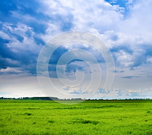 Background of cloudy sky and fresh green grass