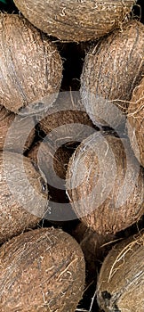 Background of coconuts. sale of ecotic food