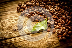 Background of coffee beans on rustic driftwood