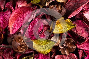 Background of colored aromatic potpourri leaves