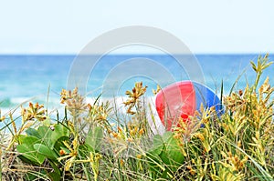 Background colorful beach ball in sand dunes grass of ocean