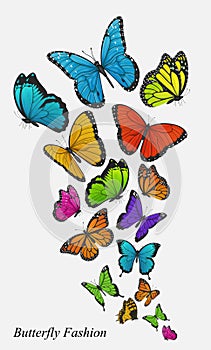 Background with colorful butterflies vector photo