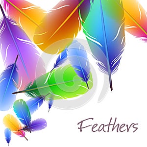 Background with colorful feathers