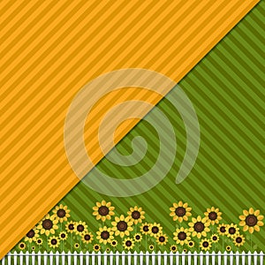 Background With Colorful Fields, Sunflowers And White Fence