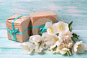 Background with colorful narcissus flowers and boxes with prese