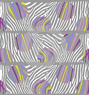 Background with colorful Zebra skin