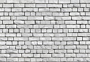 The background is composed of a textured grey concrete wall and a close-up view of grey brick