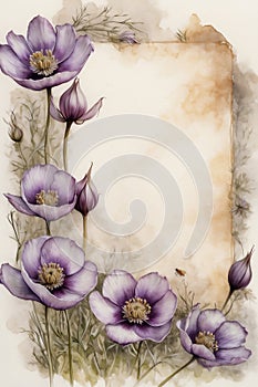 The background for the congratulatory letter is made with watercolors of lilac anemone flowers.