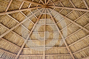 Tiki Thatch Background