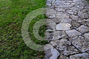 The background consists of half of the green grass, and half of the stone path.