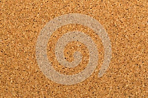 Background from a corkwood