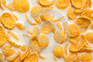 Background of corn flakes with milk close-up. Morning breakfast