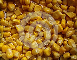 Background of corn in the market. photo