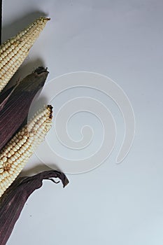 Background corn wallpaper to food