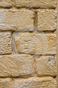 Background, corner wall texture of limestone, shell rock.