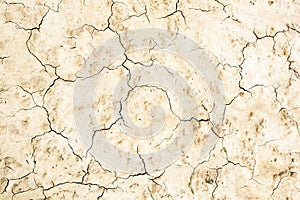 Background with cracked, burnt, lifeless soil.