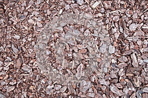 Background of Crushed Bark