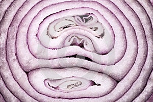 Background of cut red onion, close up