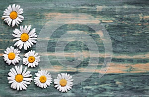 Background of daisies on an old wood board
