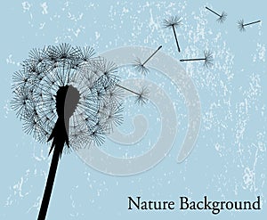 Background with dandelion