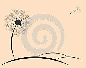 Background dandelion fluff