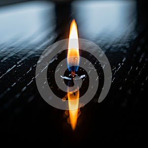 Background is dark emphasizing the vibrant colors and simplicity of