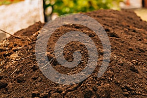 Background dark fertile soil with roots close up