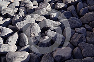 Background of dark grey stones.