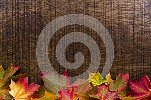 A background decorated with colourful autumn leaves, with copy s