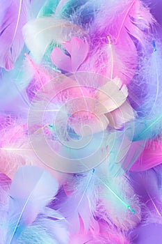 Background with decorative elements of multi-colored feathers, pink, blue, mint,purple colors