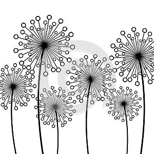 Background with decorative flowers dandelions