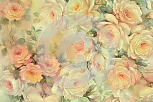 Background of delicate roses