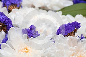 Background with delicate white and purple flowers, soft focus