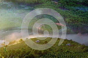 Background with dense fog and magic light at the sunrise. The coffee farm and small houses in brilliant sunshine part 11