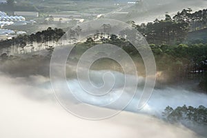 Background with dense fog and magic light at the sunrise. The coffee farm and small houses in brilliant sunshine part 4