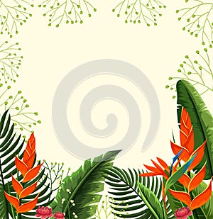 Background design with bird of paradise flowers